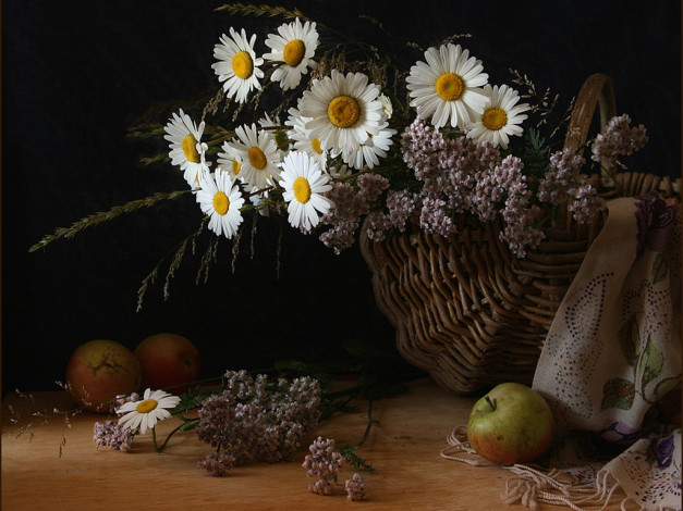 Обои картинки фото ири©ка, ромашками, цветы, букеты, композиции