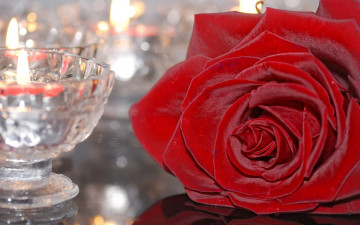 Картинка цветы розы подсвечник свеча яркая роза