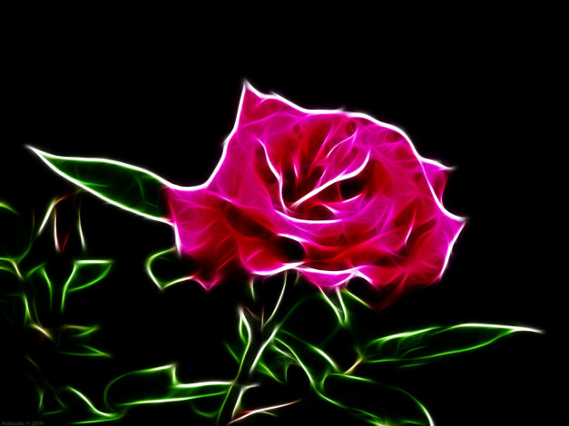 Обои картинки фото 3д, графика, flowers, цветы, роза