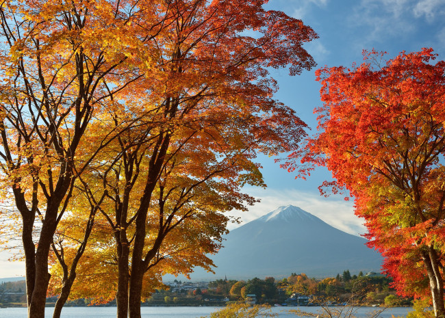 Обои картинки фото природа, деревья, Япония, дома, листья, осень, озеро, небо, гора, фудзияма