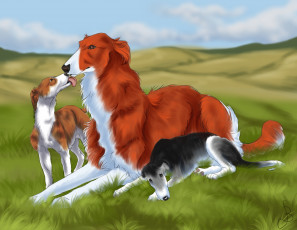 Картинка рисованное животные +собаки собаки луг