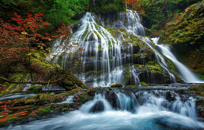 Обои картинки фото природа, водопады, вода, поток, водопад, осень, камни, мох