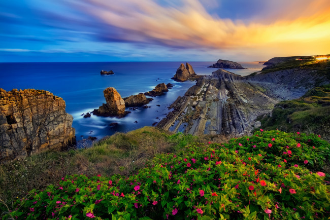 Обои картинки фото природа, побережье, океан, небо, скалы, горизонт, цветы, вода