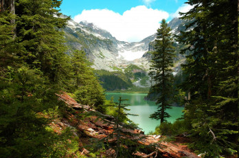 Картинка природа реки озера горы елки озеро бирюзовая вода
