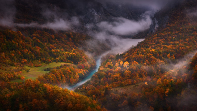 Обои картинки фото природа, пейзажи, лес, река, осень