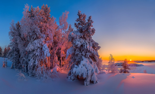 Обои картинки фото природа, зима, деревья, снег, сугробы