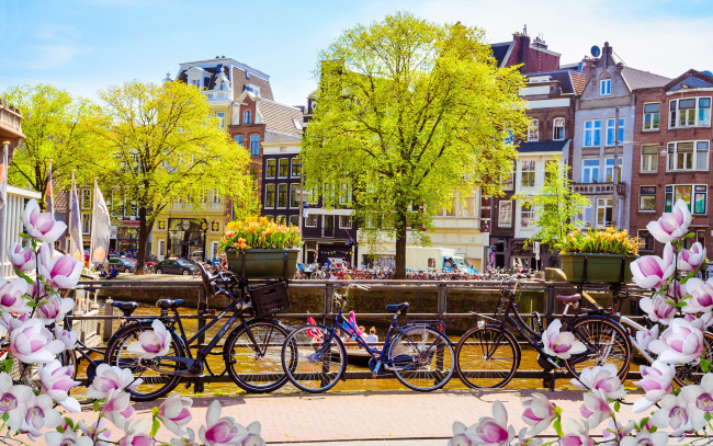 Обои картинки фото города, амстердам , нидерланды, весна, река, цветение, buildings, canal, амстердам