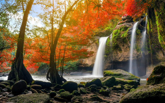 Обои картинки фото природа, водопады, водопад, autumn, waterfall, осень, лес, каскад, вода, река, beautiful, nature, river, forest