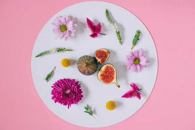 Обои картинки фото еда, инжир, background, хризантемы, floral, frame, pink, flowers, цветы