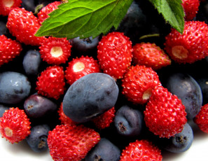 Картинка еда фрукты +ягоды земляника черника