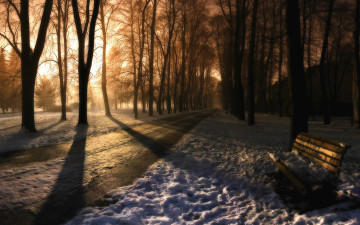 Картинка природа парк аллея снег скамейка