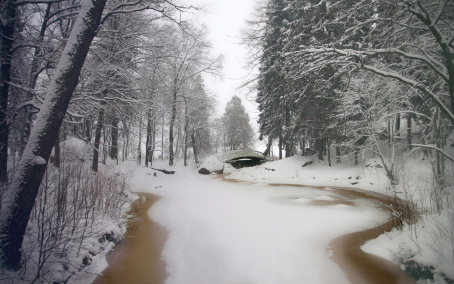 Обои картинки фото природа, зима, лес, река, мостик