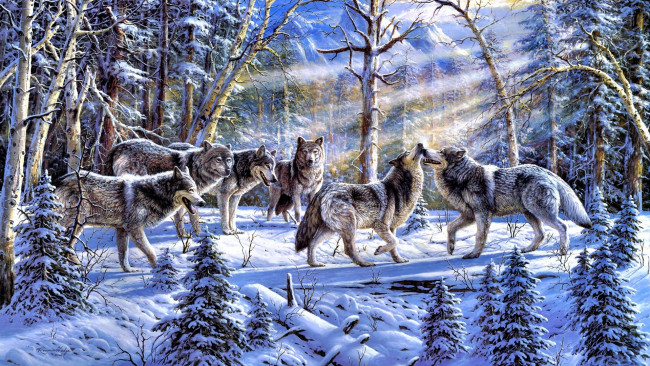 Обои картинки фото рисованные, животные,  волки, снег, ronnie hedge