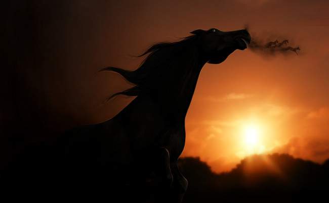 Обои картинки фото 3д графика, animals , животные, лошадь, закат