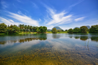 Картинка природа реки озера река пальмы гора