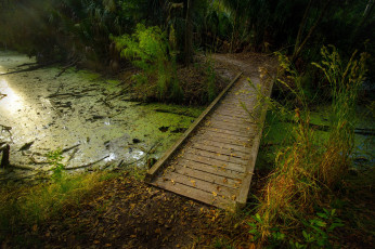 Картинка природа дороги лес речка мостик