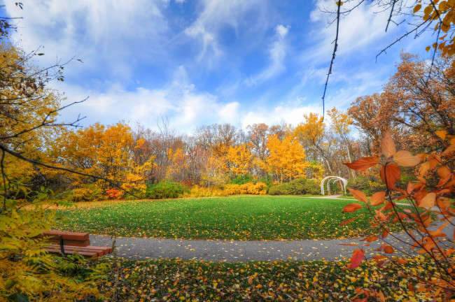Обои картинки фото природа, парк, осень, аллея, скамейка