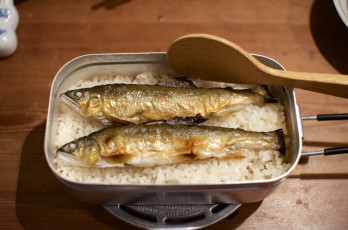 Картинка еда вторые+блюда рыба рис