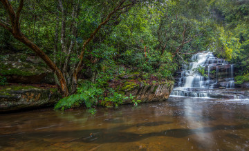 Картинка природа водопады река лес