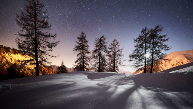 Обои картинки фото природа, пейзажи, снег, небо, деревья