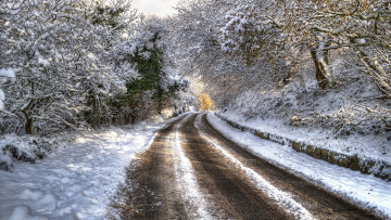 Картинка природа дороги hdr trees снег зима дорога деревья winter