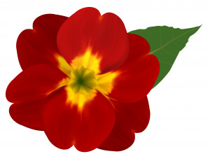 Картинка векторная+графика цветы+ flowers фон лепестки цветок