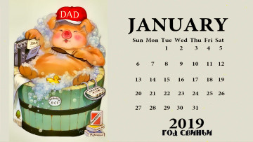 Картинка календари праздники +салюты свинья кепка магнитофон поросенок бочка