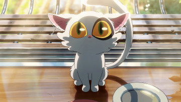 Картинка аниме животные +существа кошка