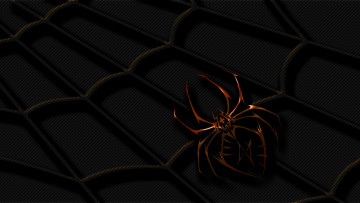 Картинка 3д графика animals животные паук паутина