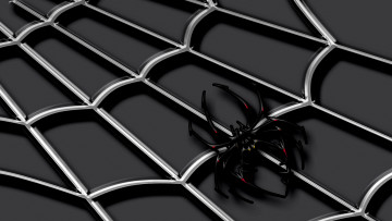 Картинка 3д графика animals животные паутина паук