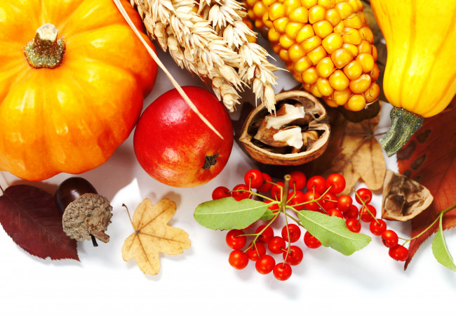 Обои картинки фото еда, разное, дары, осени, кукуруза, тыква, орехи, кабачки, пшеница, листья