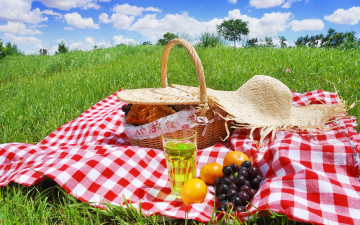 Картинка еда разное пикник лужайка сок шляпа корзинка виноград апельсины