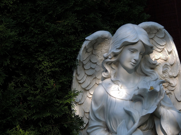Обои картинки фото разное, садовые и парковые скульптуры, ангел