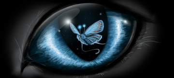 Картинка фэнтези другое бабочка фон глаз