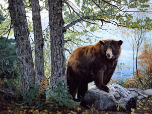 обоя morning, watch, рисованные, charles, frace, painting, bear, forest, nature