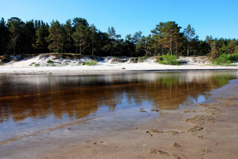 Картинка природа реки озера латвия little river go to baltic sea