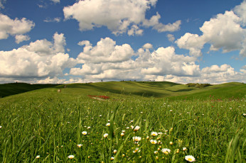 Картинка природа луга луг облака трава цветы