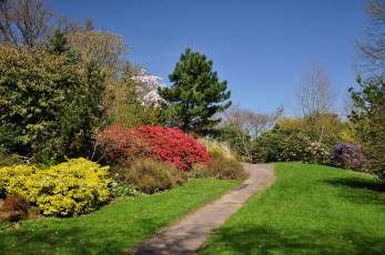 Картинка borde+hill+gardens природа парк тропинка краски осень деревья кусты