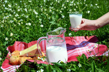 Картинка еда масло +молочные+продукты стакан кувшин молоко