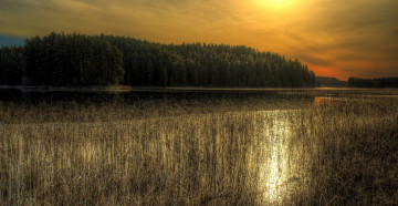 Картинка природа реки озера свет лес река тростник тучи