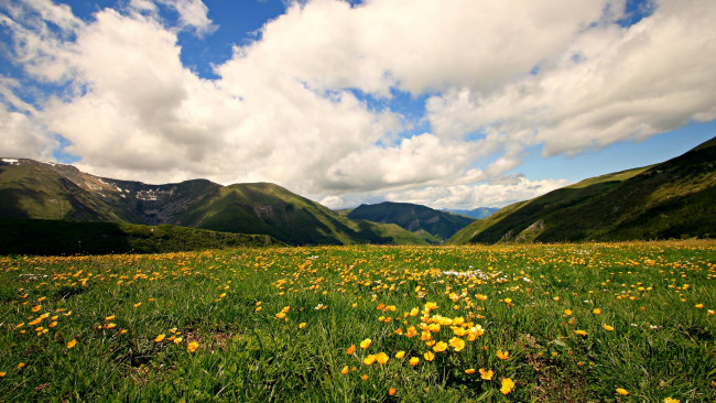 Обои картинки фото природа, луга, облака, цветы, трава, луг, горы