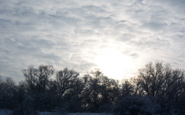Обои картинки фото природа, восходы, закаты, дерево, солнце, рассвет, тополь, ветви, облака, небо, снег
