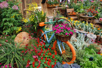 Картинка цветы разные+вместе велосипед разные клумба петунии
