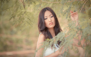Картинка девушки -unsort+ азиатки fanny ng восточная красавица взгляд
