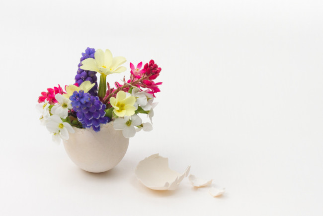 Обои картинки фото цветы, разные вместе, букет, яйцо, весенние, скорлупа