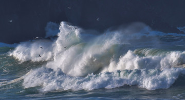 Картинка природа моря океаны волны птицы атлантический океан чайки