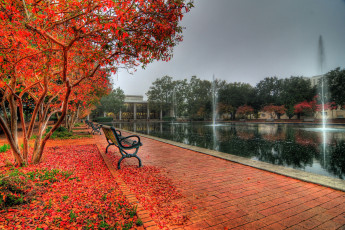 Картинка города фонтаны скамейка осень дерево водоем