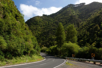 Картинка new zealand природа дороги дорога деревья кусты горы