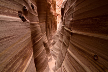 Картинка природа горы сша каньон зебры скалы юта