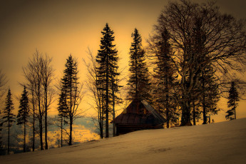 обоя природа, зима, дом, деревья